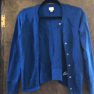 Blue Cardigan